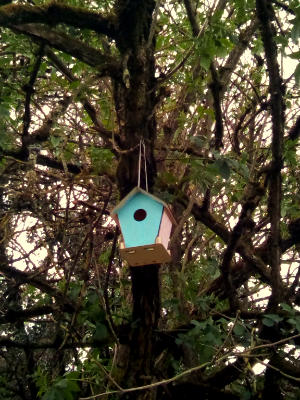 Une cabane à oiseau